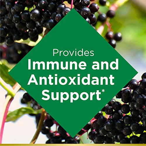 Elderberry Gummies Dietary Supplement, 100 mg, 120 Gummies K46696