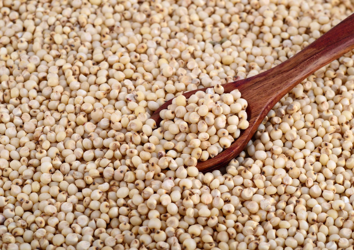 Gluten Free Organic Sorghum Grain, 10 Pounds A97748