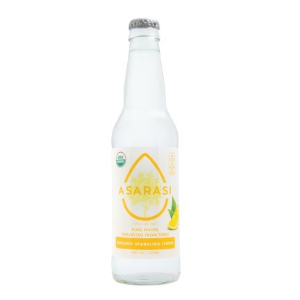 Organic Sparkling Tree Water 4 Flavor Variety Pack 12 Pack C297