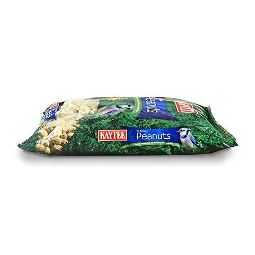 Two 5 Pound Bags Peanuts in Shell for Wild Birds C613905