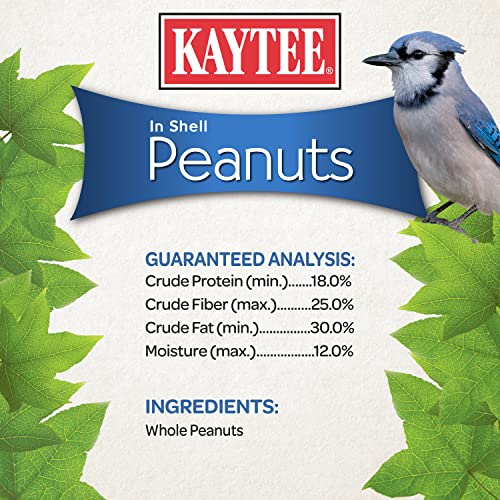 Two 5 Pound Bags Peanuts in Shell for Wild Birds C613905