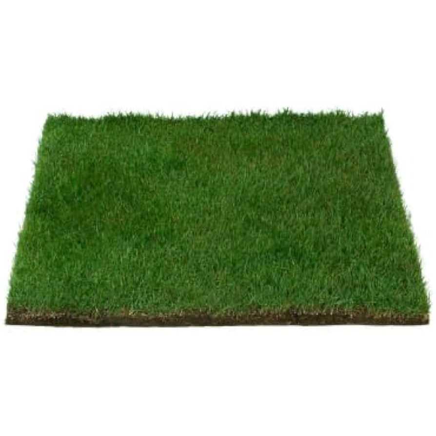 Real Grass Potty C41765