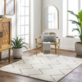 Washable 5x7 Cream Black Area Rug Y229