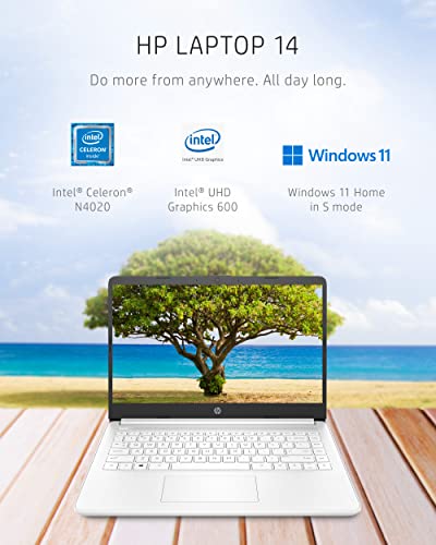 14-inch Laptop, Intel Celeron N4020, 4 GB RAM, 64 GB Storage, Windows 11 Home R4331
