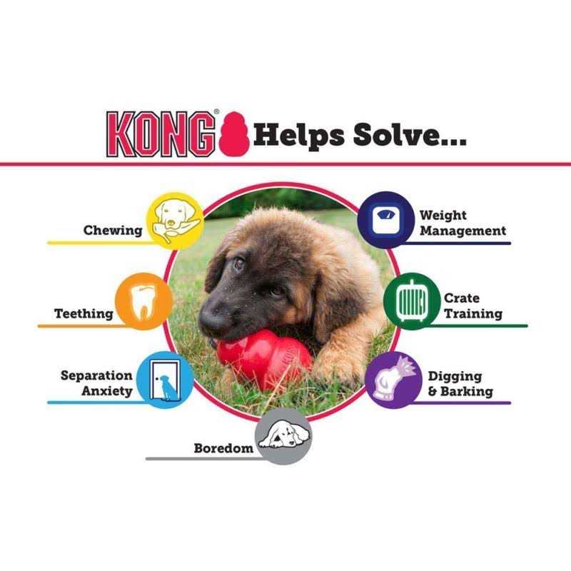 Senior Dog Toy L76969