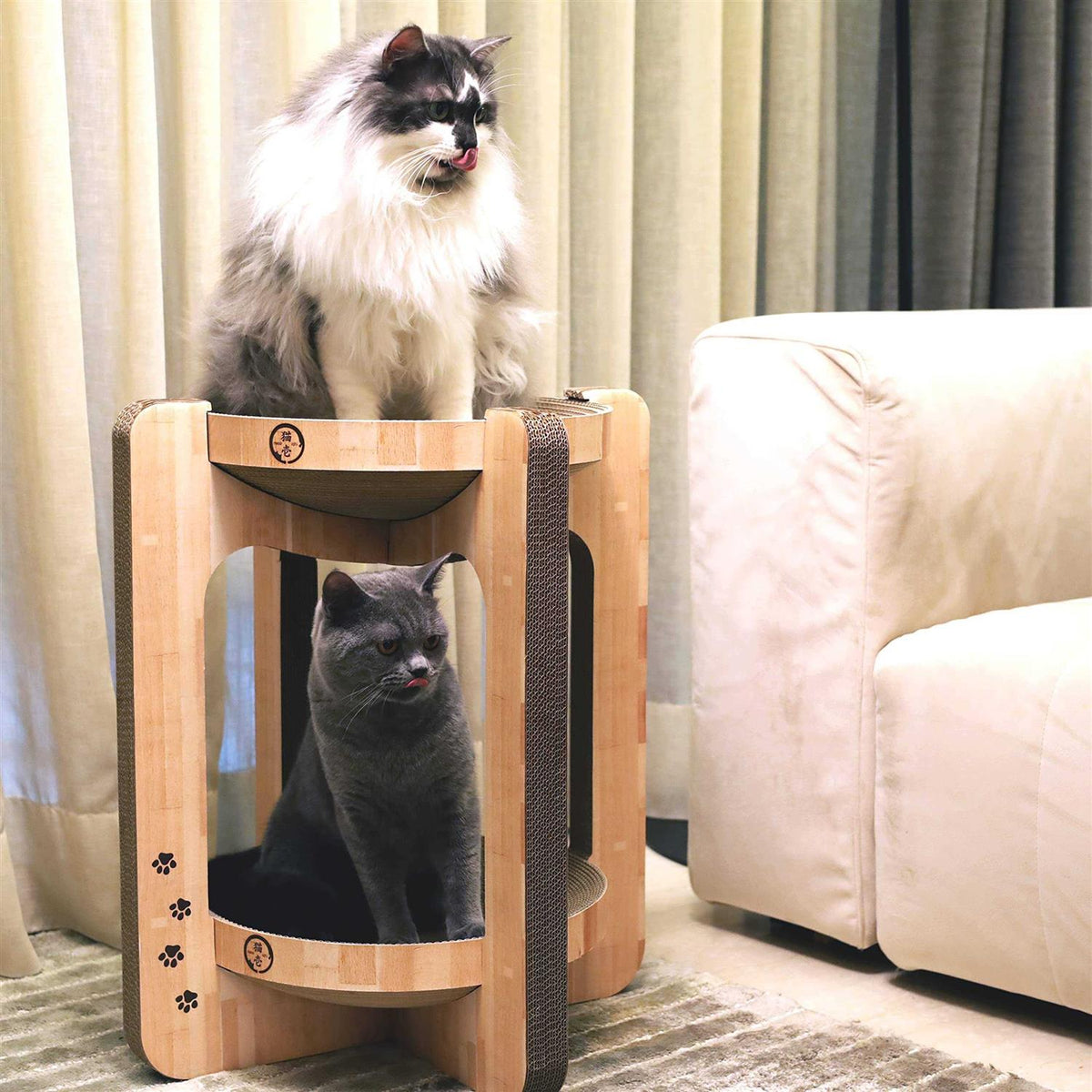Cat Scratcher Tower I269