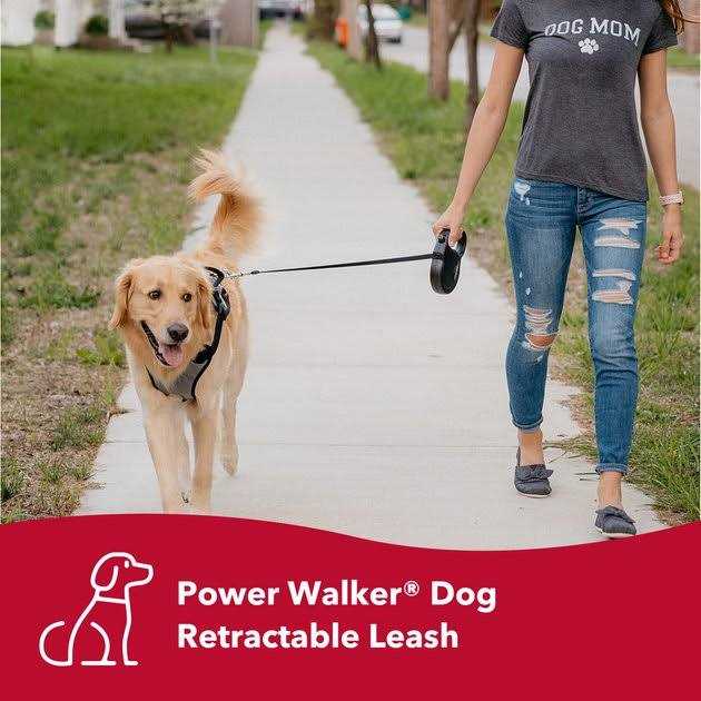 Retractable Dog Leash Q38919