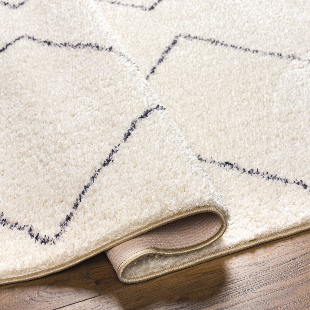 Washable 5x7 Cream Black Area Rug Y229