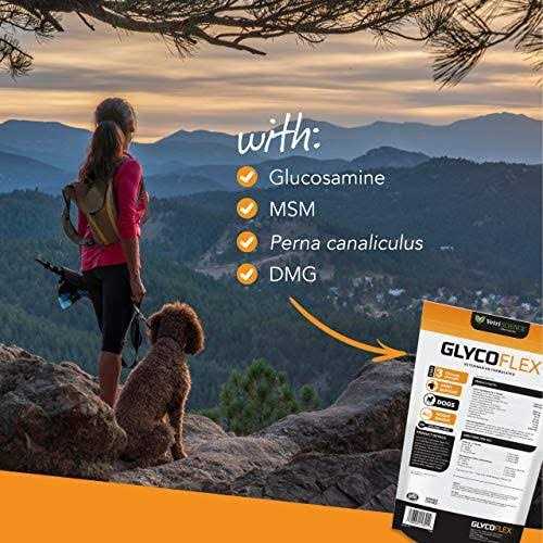 Dog Supplements T967