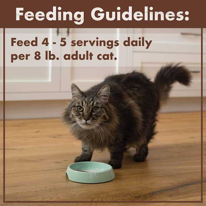 Chicken Liver Cat Food K6278
