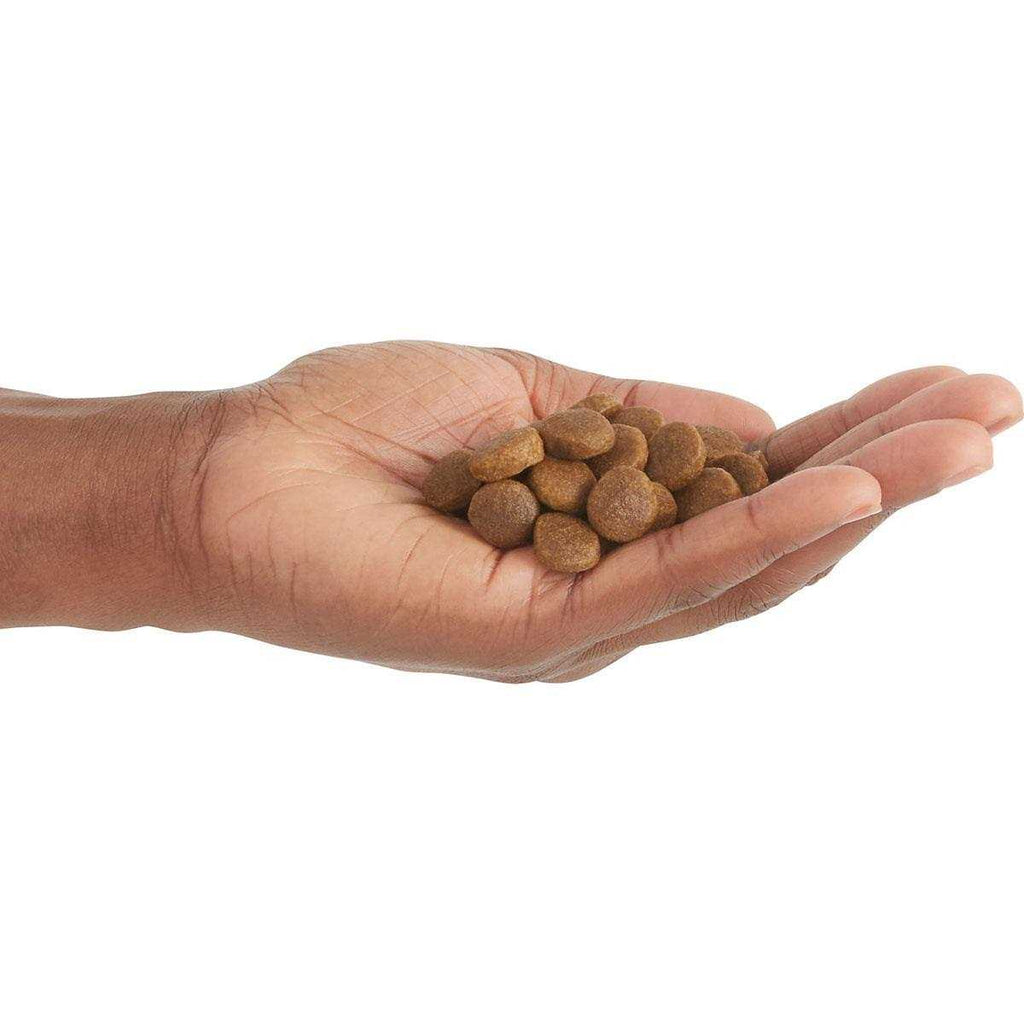 Poultry Dry Dog Food U9073