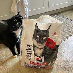 Sensitive Stomach & Skin Grain Free Dry Cat Food W577