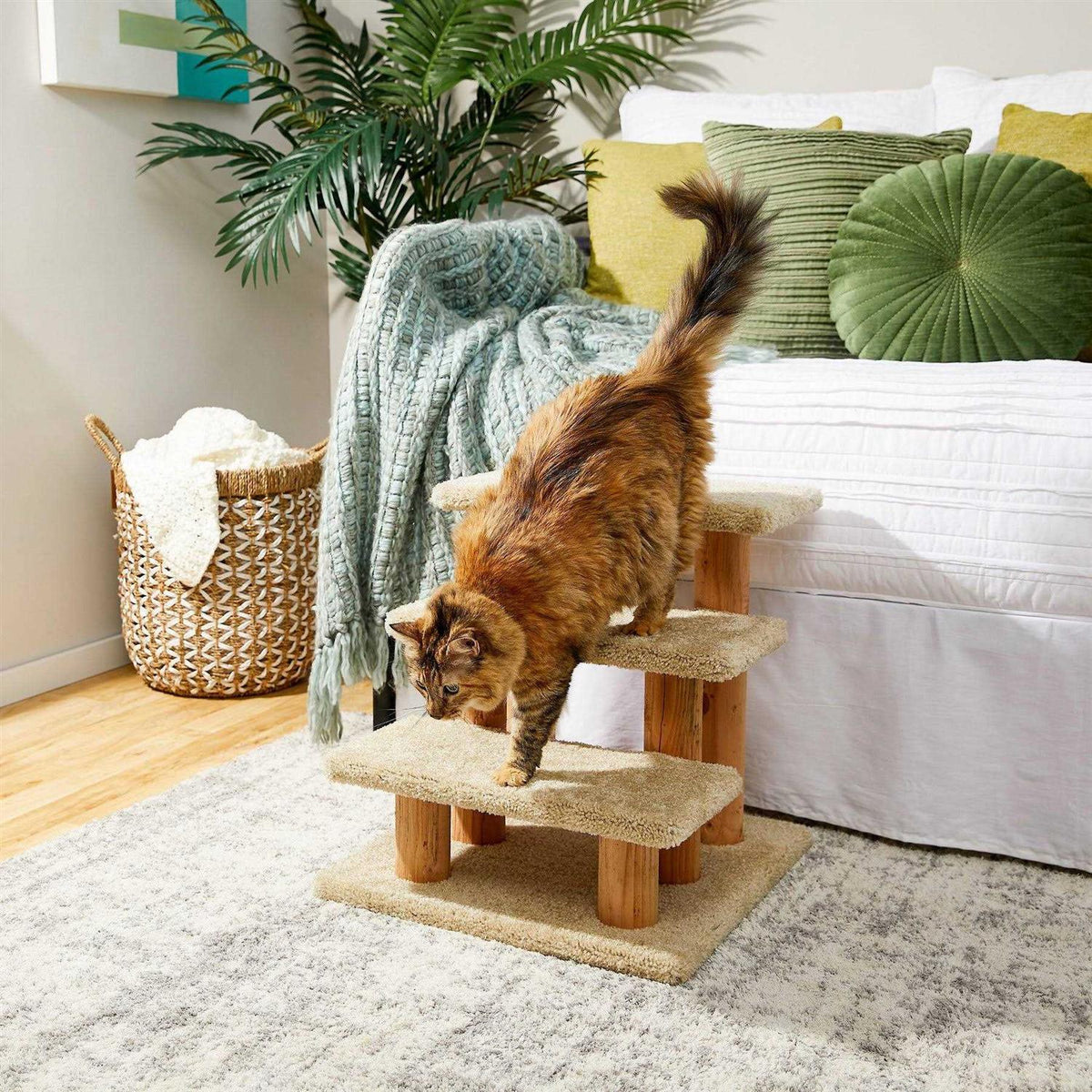 20-in 3-Step Carpet Wooden Cat Steps T980101