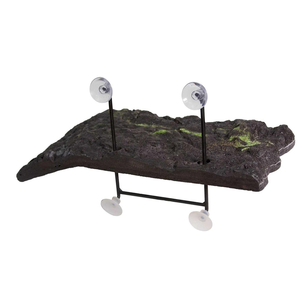 Turtle Dock V10281