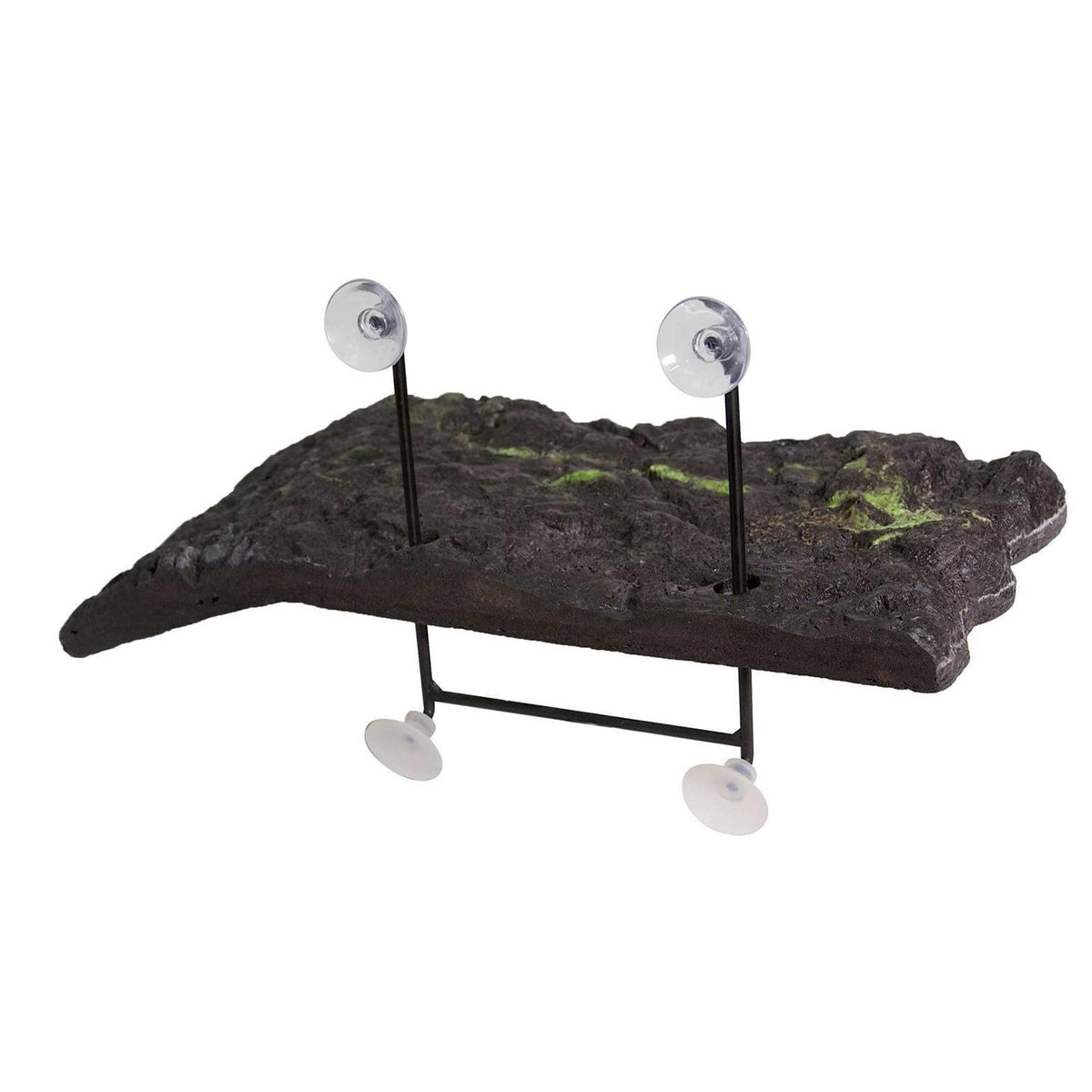 Turtle Dock V10281