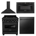 30 in. Black Stainless Steel Gas Range, Range Hood, Microwave Drawer and Dishwasher C2057
