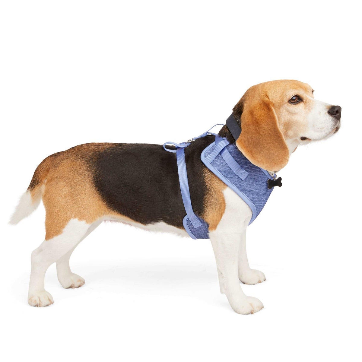 Heather Pullover Dog Harness U894831