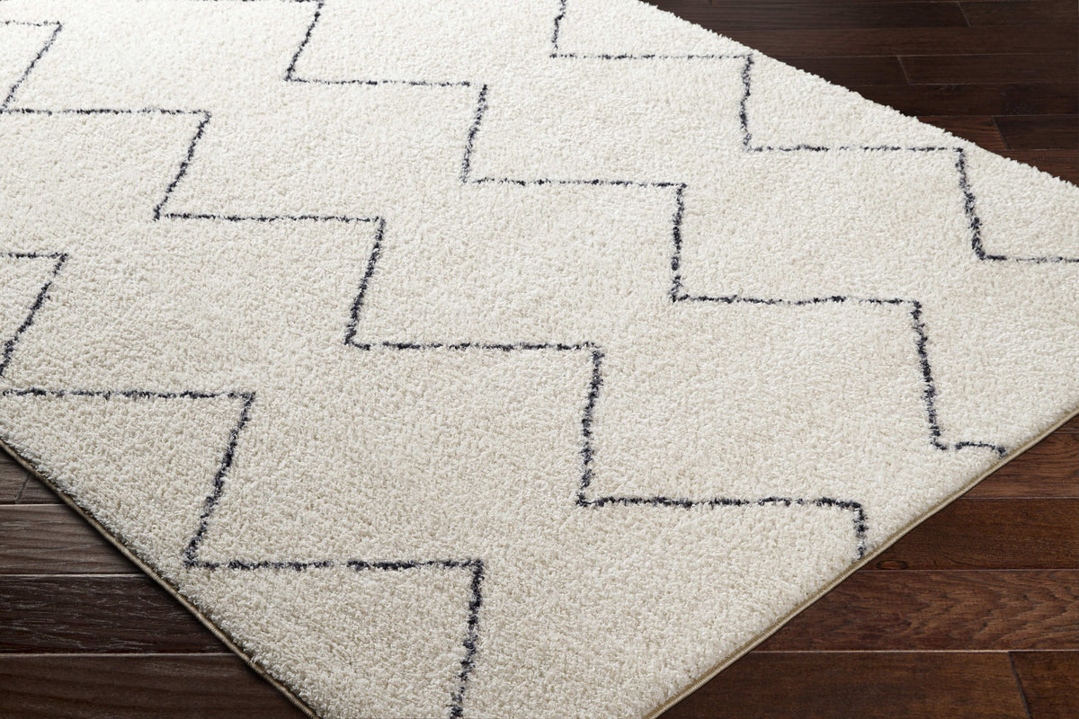 Washable 5x7 Cream Black Area Rug Y229