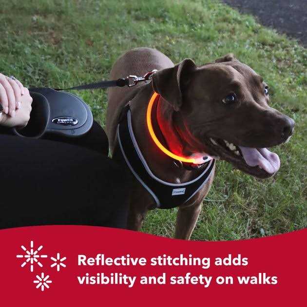 Retractable Dog Leash Q38919