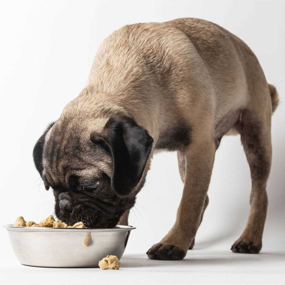 Freeze Dried Dog Food R7205