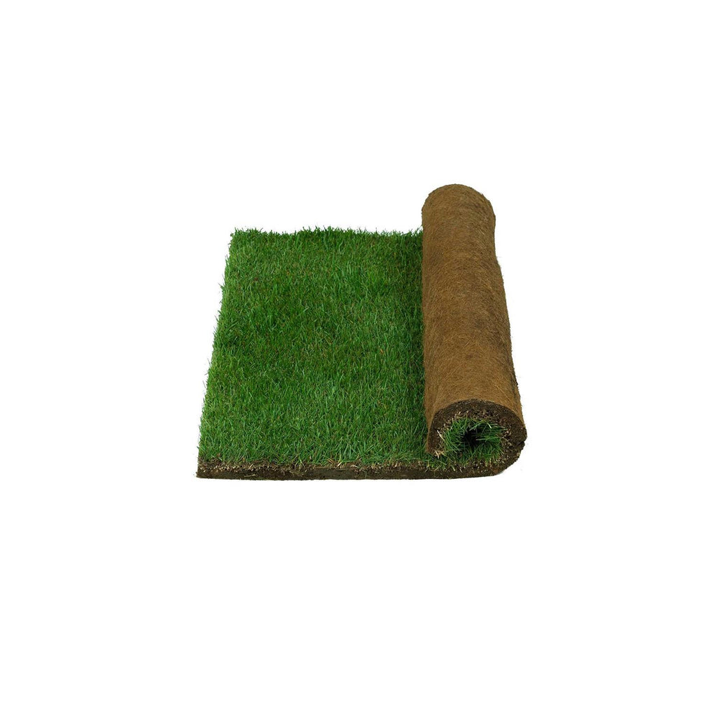 Real Grass Potty C41765