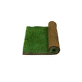 Real Grass Potty C41765