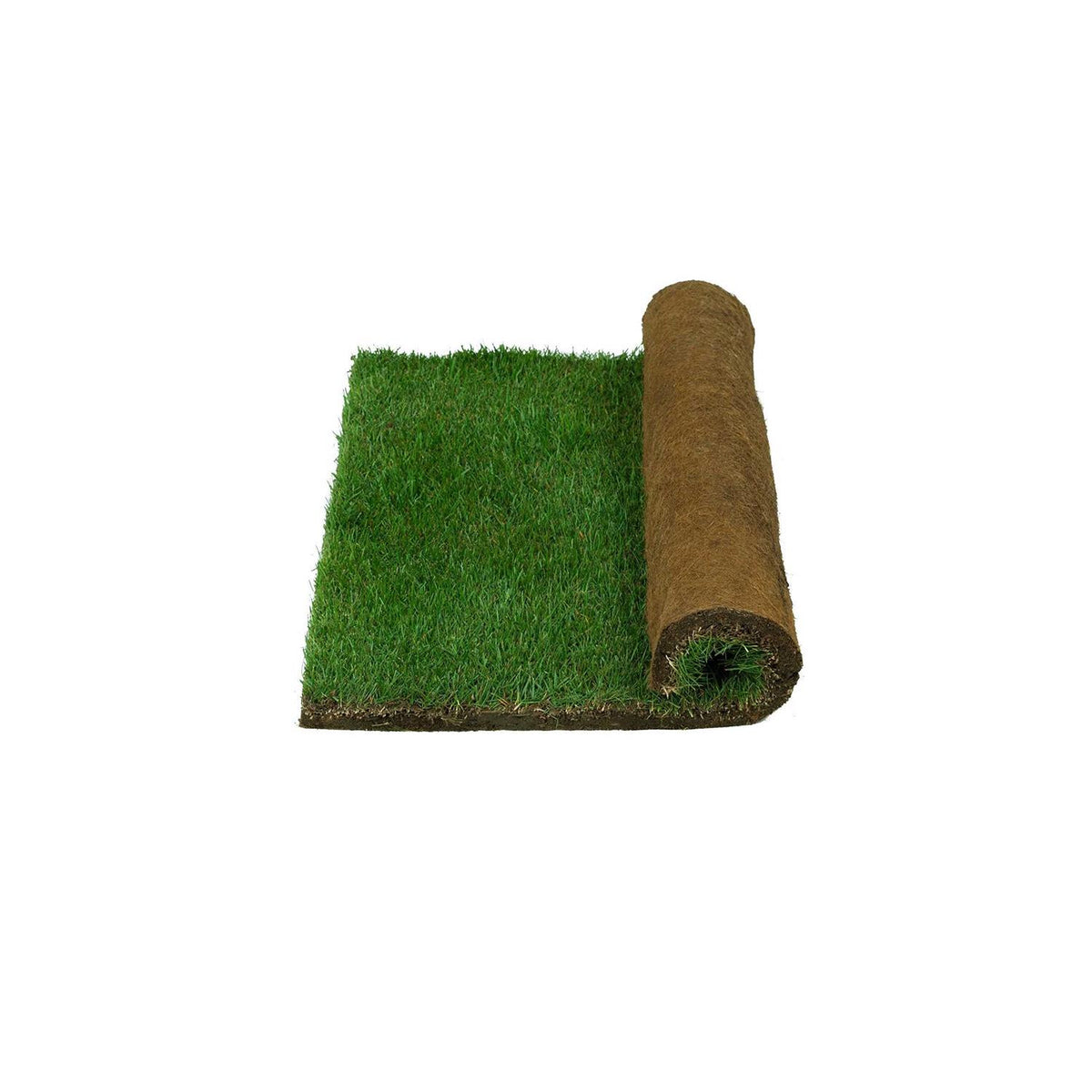 Real Grass Potty C41765