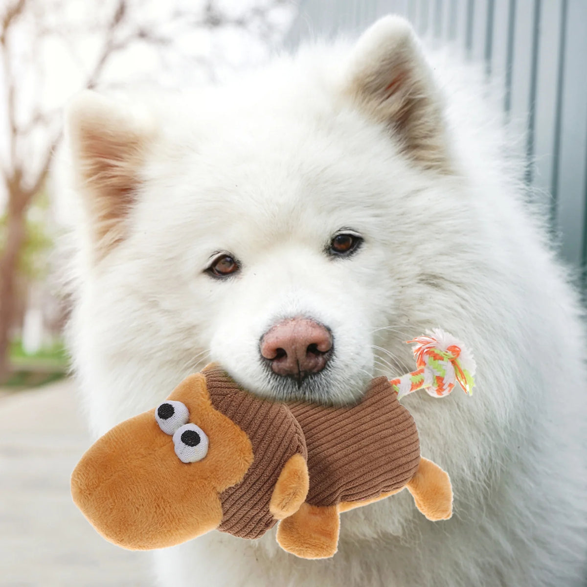 Plush Monkey Dog Chewing Toys K3713