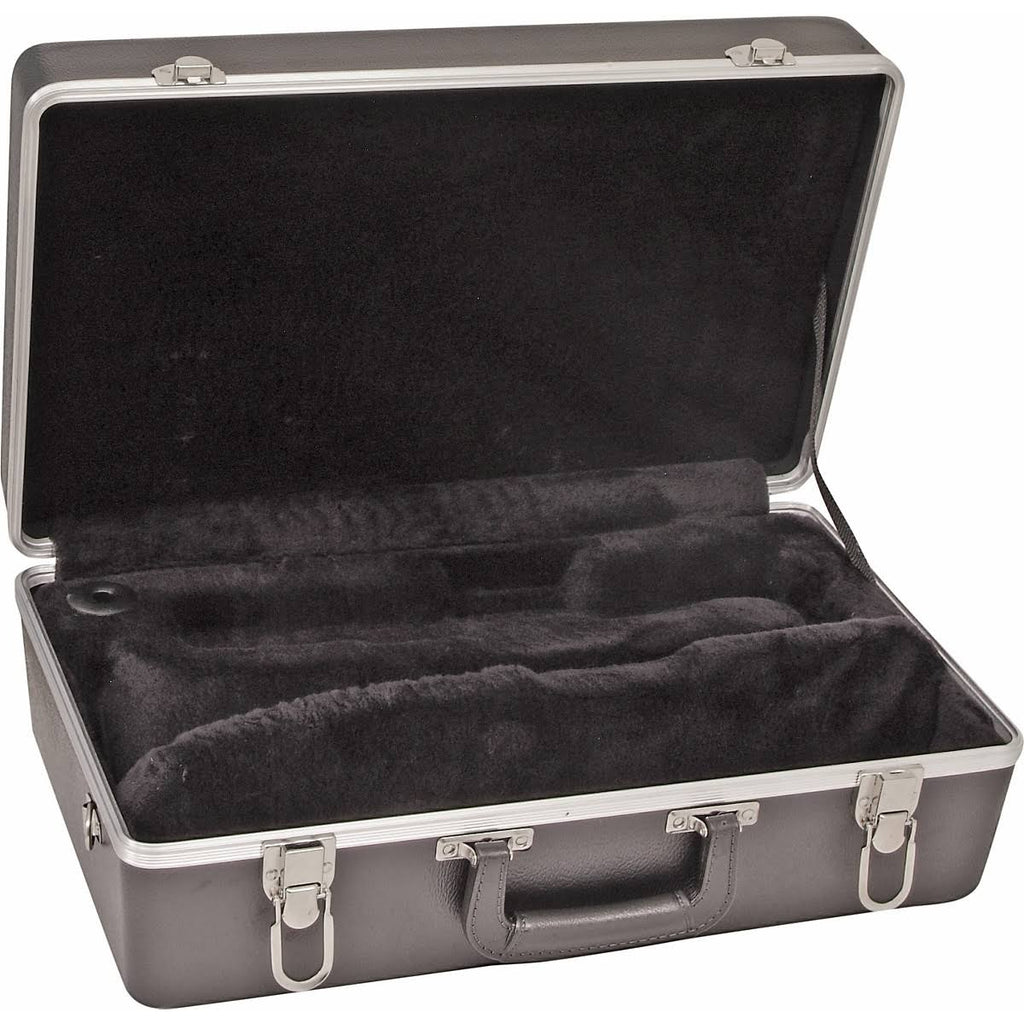Cornet Case X331