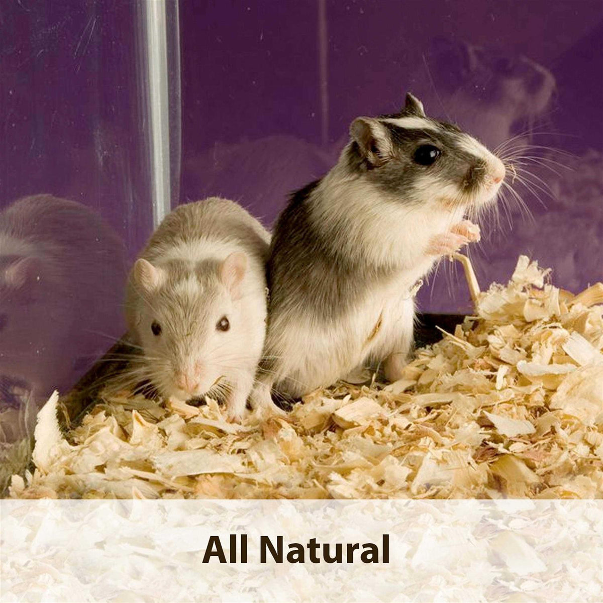 Aspen Small Pet Bedding G4147