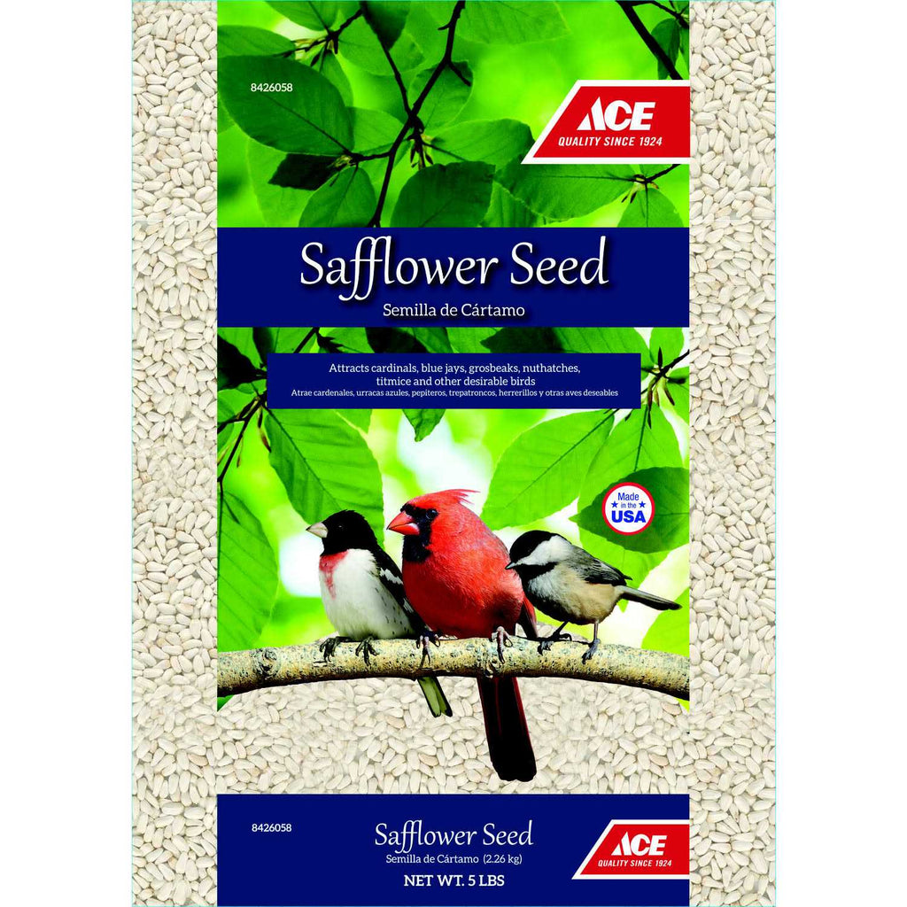Safflower N284