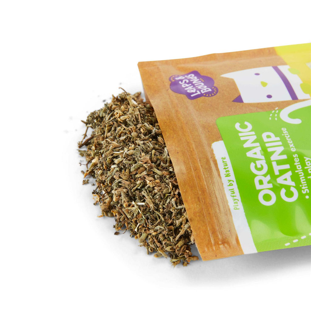 Natural Catnip Cat Toy B99412